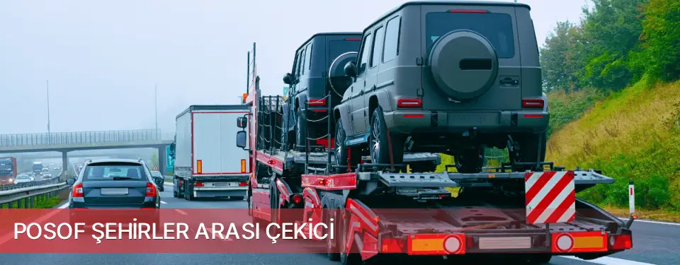 Posof İlçemi Şehirler Arası Çekici